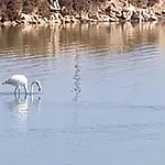 Lovely Near The In Sunny La Mata * Торрев'єха