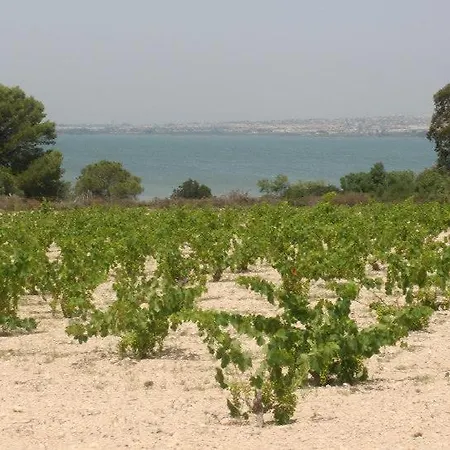 Lejlighed Lovely Near The In Sunny La Mata