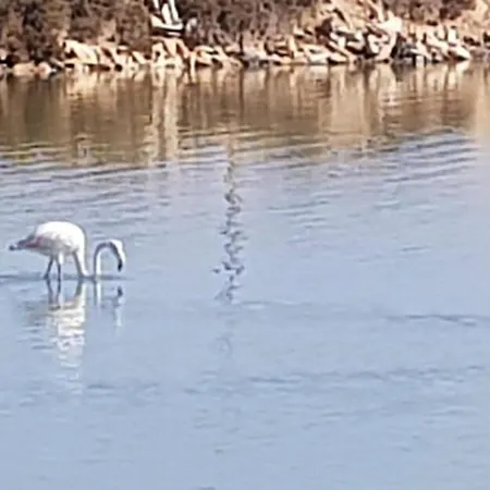 Lovely Near The In Sunny La Mata * Torrevieja